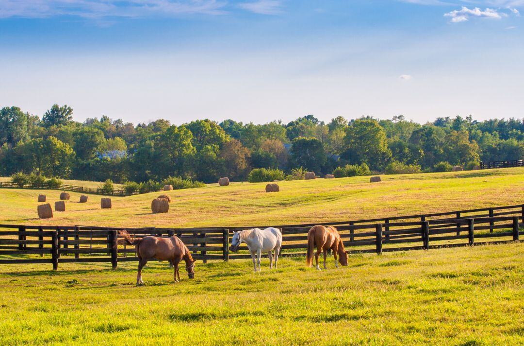 best places to live with horses