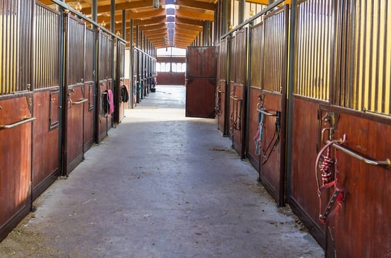 horse stable floor